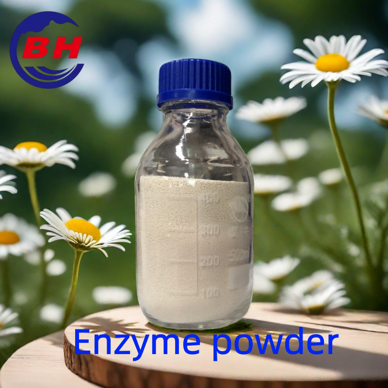 Enzympoeder H8805