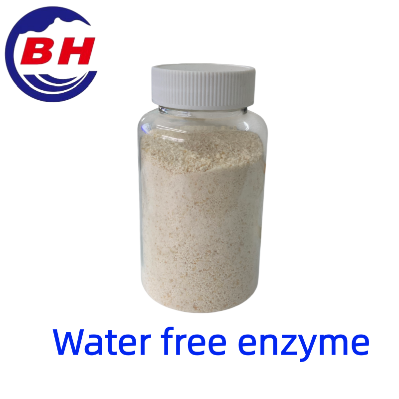 Watervrij enzym H8811